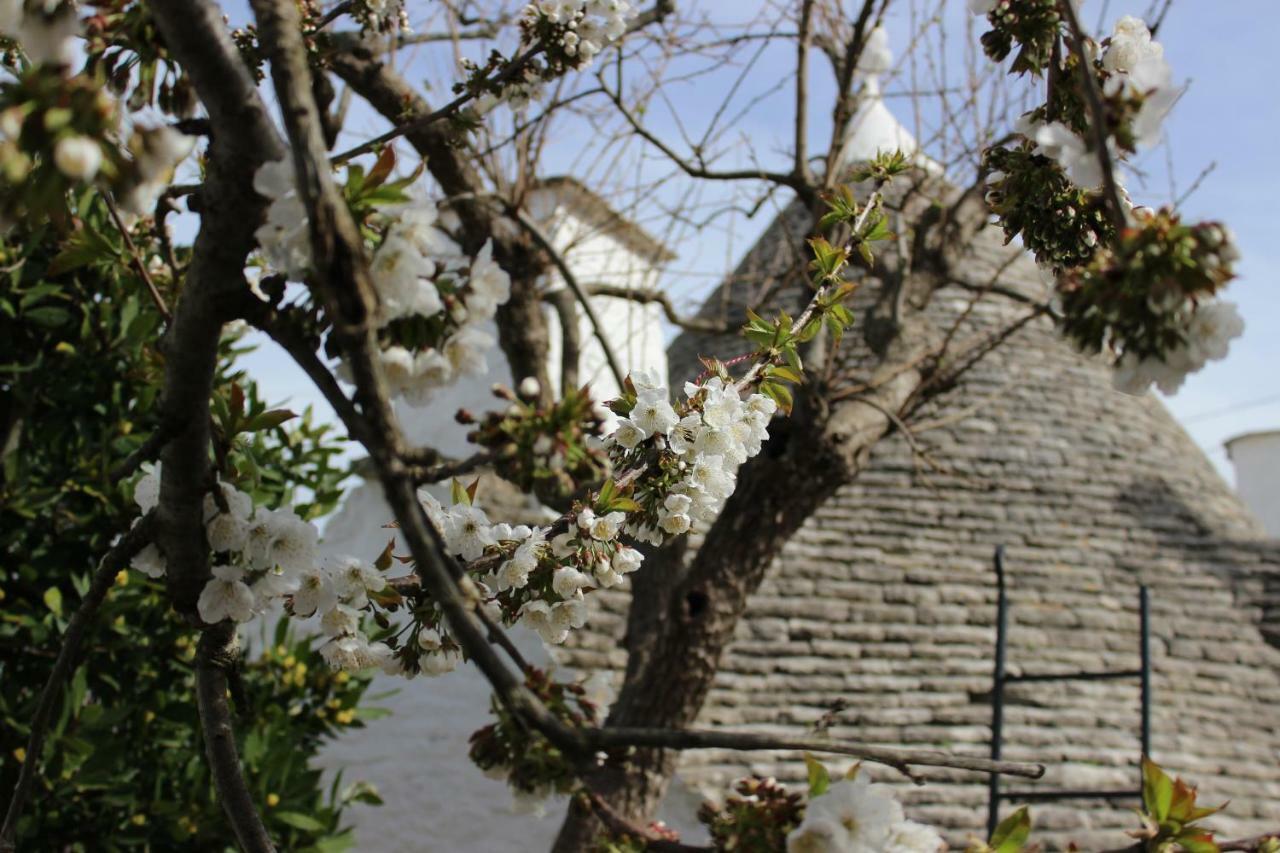Вилла Trullo "Vicolo Fiorito" Альберобелло Экстерьер фото